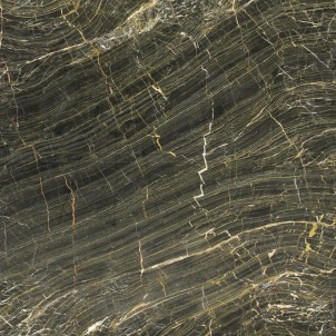 Spider Fantasy Polished Marble